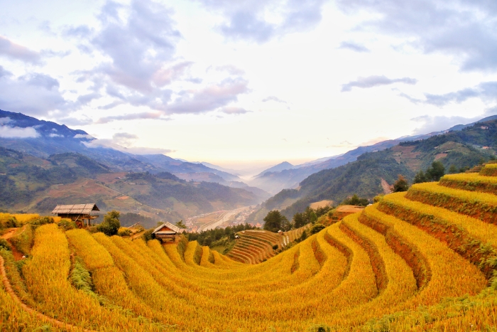 La célèbre colline de Mong Ngua, située dans le village de Sang Nhu à Mu Cang Chai