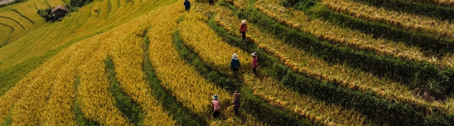 Voyage nature au Vietnam en automne : que voir ?
