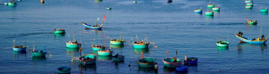 Quel est le budget à prévoir pour un voyage de 15 jours au Vietnam ?