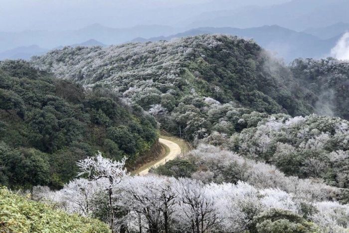 Une biodiversit&eacute; remarquable au c&oelig;ur des montagnes de Cao Bang