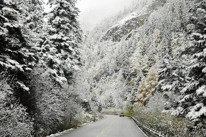Brume, fra&icirc;cheur et paysages de montagne toute l&rsquo;ann&eacute;e