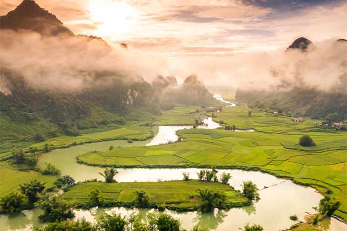 La saison du riz vert dans la vallée de Phong Nam