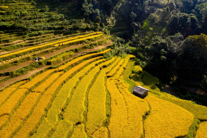 Quand est la meilleure période pour visiter Khuoi Khon ?