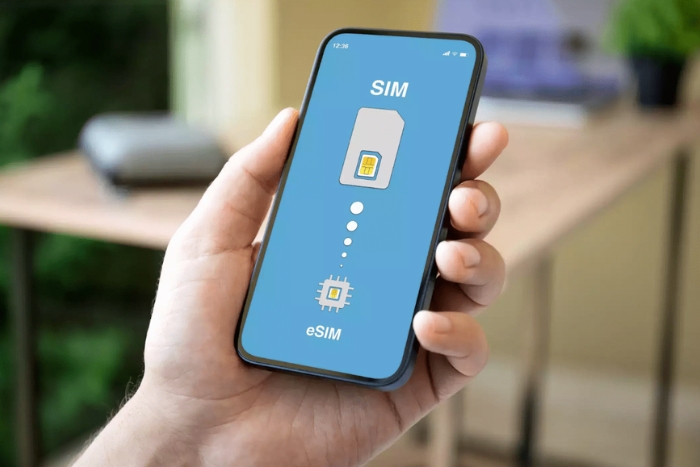 Carte SIM physique vs eSIM Vietnam