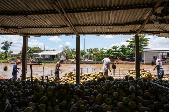 Circuit Vietnam Cambodge : Les villages artisanaux à Ben Tre 