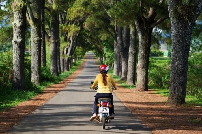 Les hauts plateaux permettent d&rsquo;explorer un Vietnam moins urbain et plus rural
