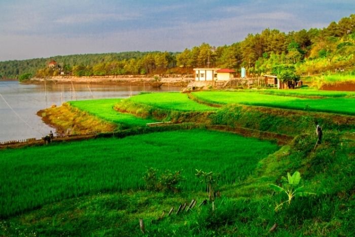 Autour de Pleiku, les paysages ruraux offrent de belles balades