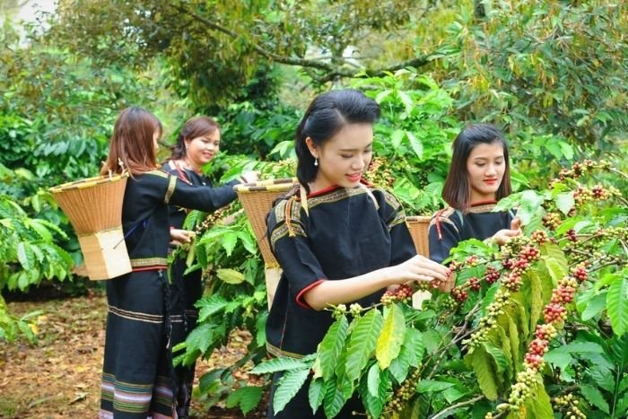 Chaque communaut&eacute; poss&egrave;de ses propres coutumes, langues et savoir-faire