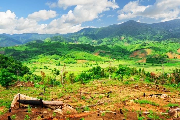 Profitez d&rsquo;un rythme plus tranquille pour explorer les hauts plateaux du Vietnam