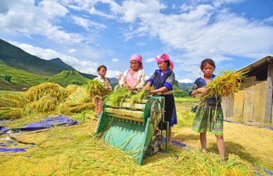 15 Jours Au Vietnam En Octobre Avec Expérience De M. Thierry