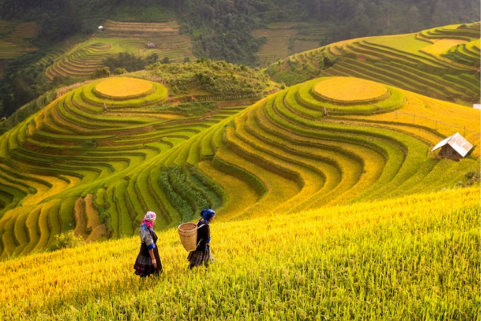 Le Vietnam s’illumine en octobre – Partez pour un itinéraire de 15 jours avec M. Thierry