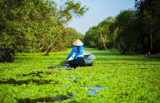 Explorez L’itinéraire 2 Semaines Au Sud Vietnam