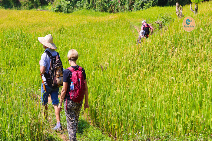 Mai Chau, destination incontournable de votre aventure d'une semaine au Nord Vietnam