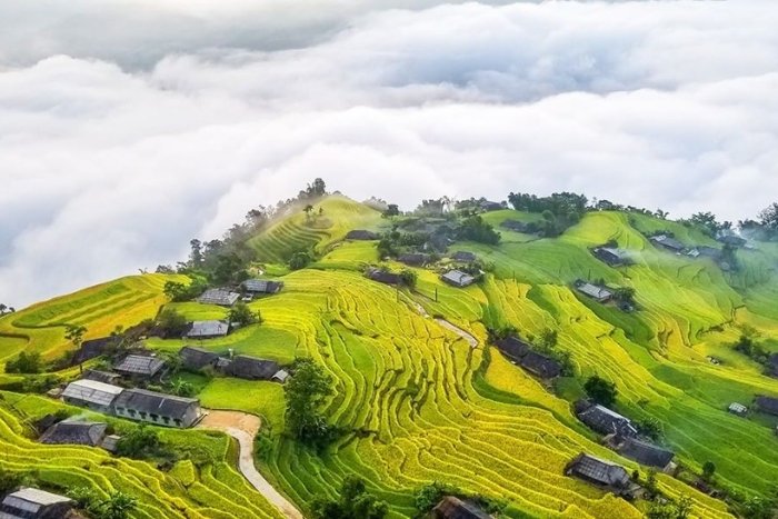 Les coolcations au Vietnam attirent de plus en plus de voyageurs internationaux