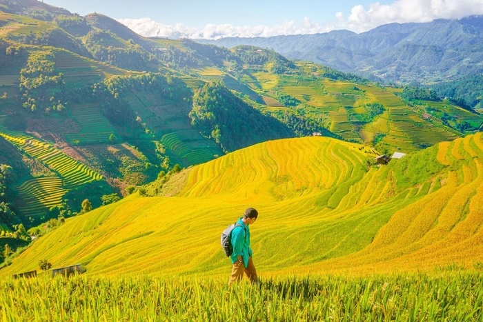 Pourquoi&lrm; choisir les Hautes&lrm; Terres du Nord Vietnam&lrm; pour une coolcation ?