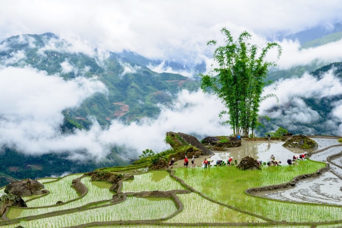 Y Ty pour votre coolcation Vietnam