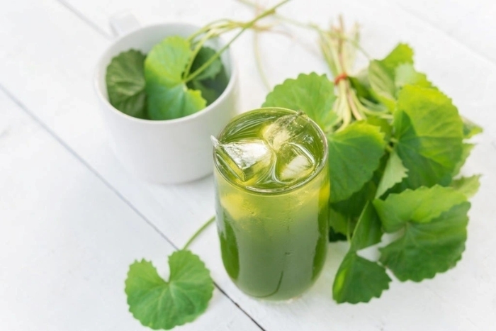 Le nước rau má (jus de pennywort)