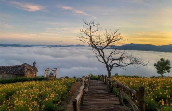 Circuit Da Lat Nha Trang 4 Jours - Recommandations De M. Albert