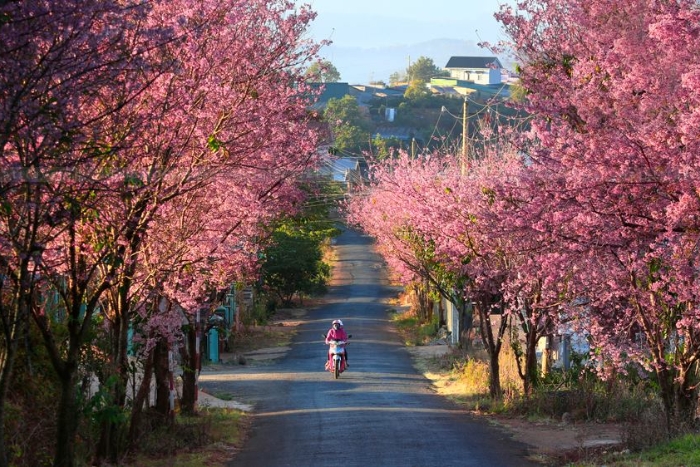 Que faire à Dalat en couple ?