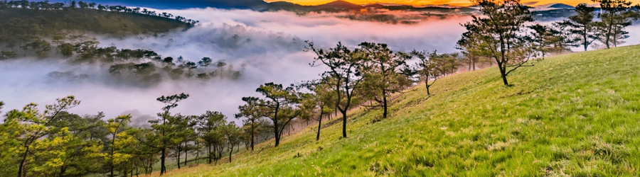 Forfait coolcation 3 jours &agrave; Da Lat