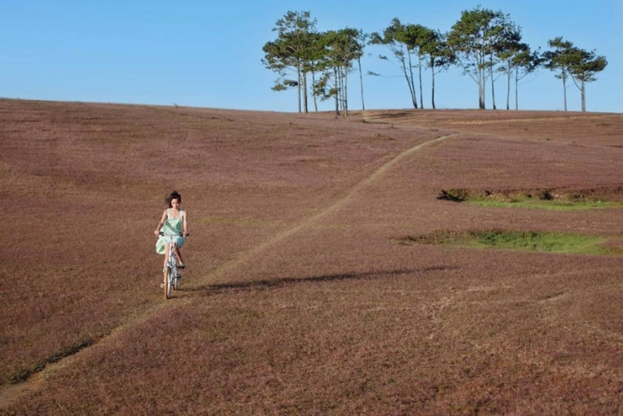 De novembre à fin décembre sur la colline de Masara