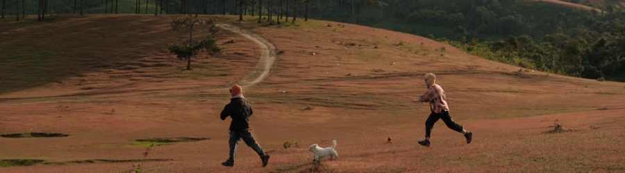 Quand Partir à Da Lat ?