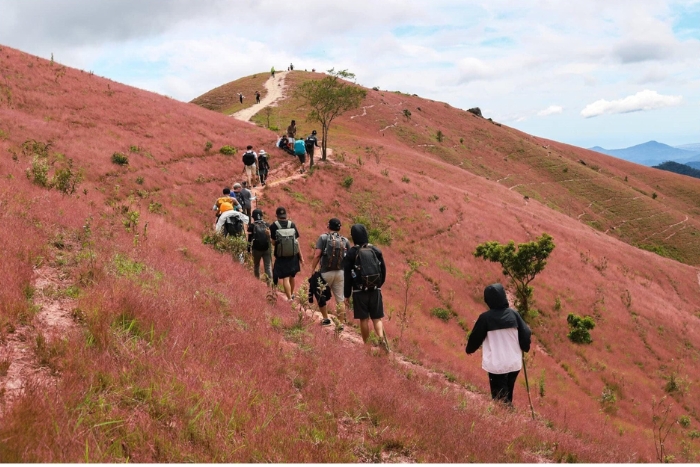 Quand partir &agrave; Dalat ?
