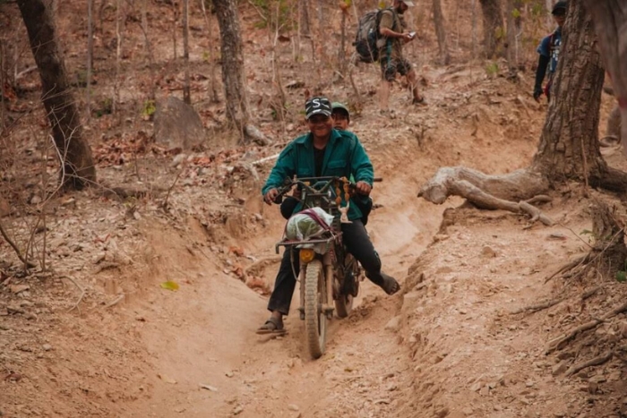 L&rsquo;exp&eacute;rience du "Grab de la for&ecirc;t"