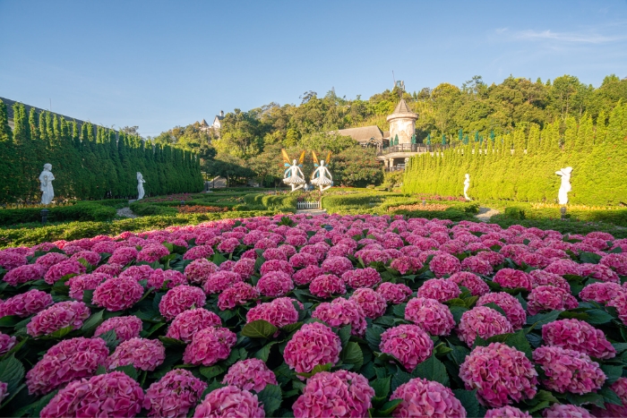 Découverte romantique au Jardin d’Amour pendant 1 journée à Ba Na Hills