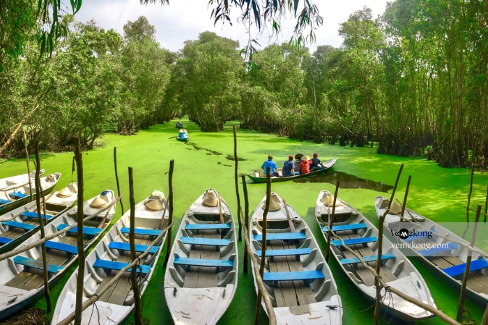 Navigation en barque traditionnelle sur les petits canaux luxuriants