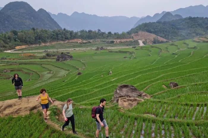 Les rizi&egrave;res de Pu Luong