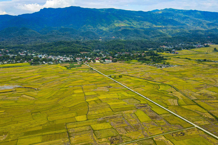La vallée de Mường Thanh