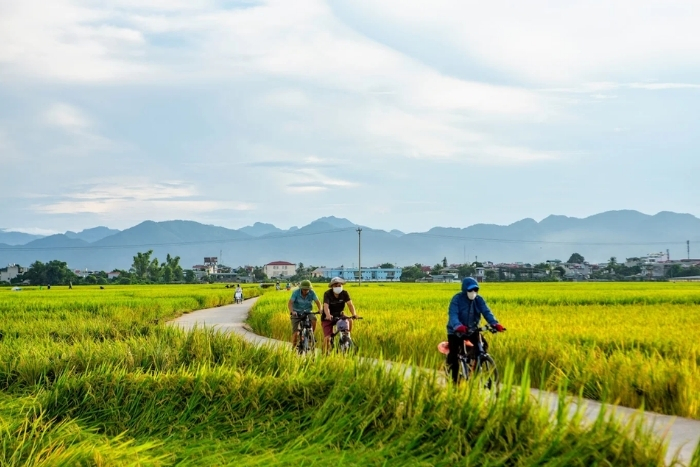 Découvrir la plaine de Muong Thanh