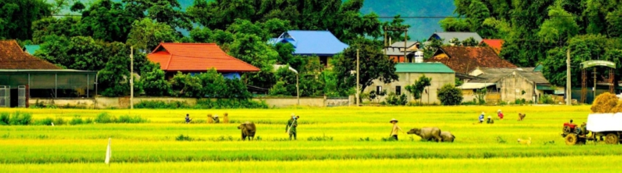 Visiter Dien Bien en 24h