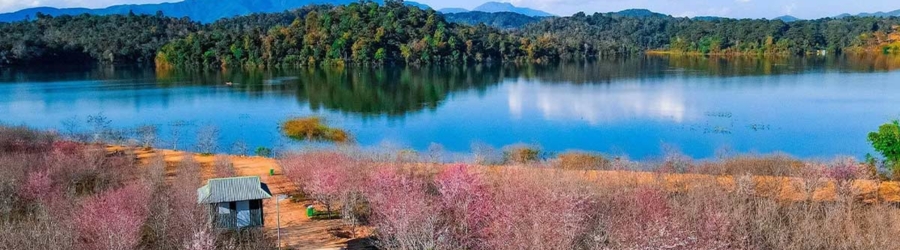 Que faire à Dien Bien quand il pleut ?