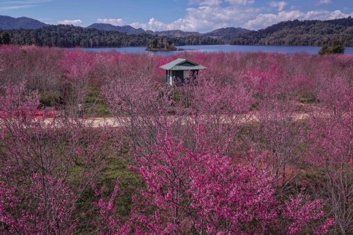Lac Pa Khoang - destination incontournable &agrave; Dien Bien en famille