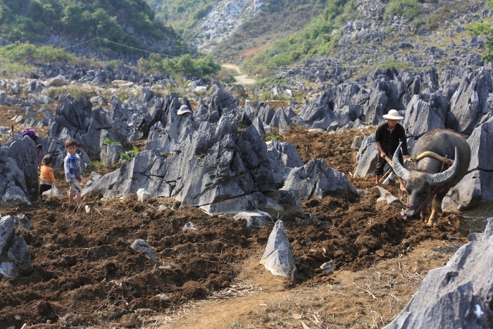 Plateau karstique de Tua Chua