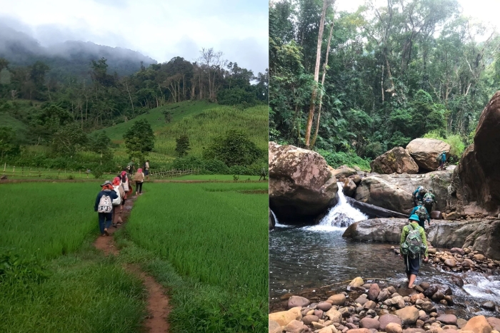 La réserve naturelle de Muong Nhe a Dien Bien
