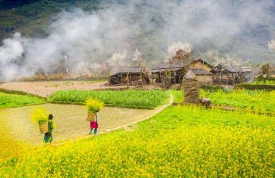 Que Faire à Ha Giang En 2 Jours ? 48 Heures D’explorer Ha Giang, Vietnam