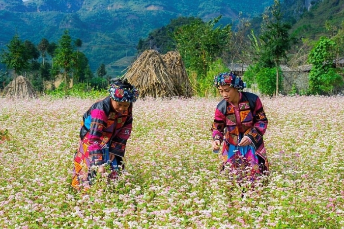 Pourquoi choisir H&agrave; Giang pour une coolcation ?