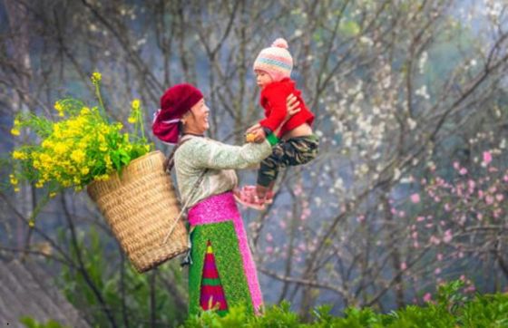 Visitez Ha Giang 3 Jours : Avis De Litineraire De Voyage Par M. Faure