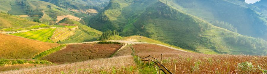 Avis de l'itinéraire à Ha Giang en 5 jours par M. Rieger