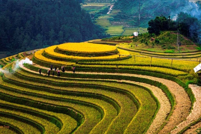 Thong Nguyen, Hoang Su Phi, Ha Giang