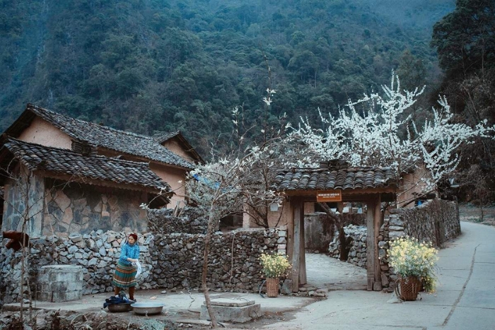 Vallée de Sung La en janvier, Ha Giang, Vietnam