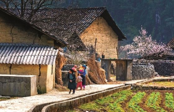 Découvrez La Beauté Authentique Du Village De Tha à Ha Giang, Vietnam
