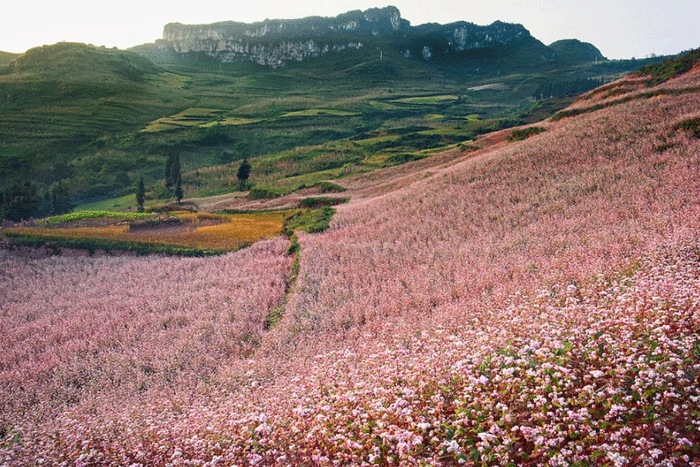 La vallée de Sung La
