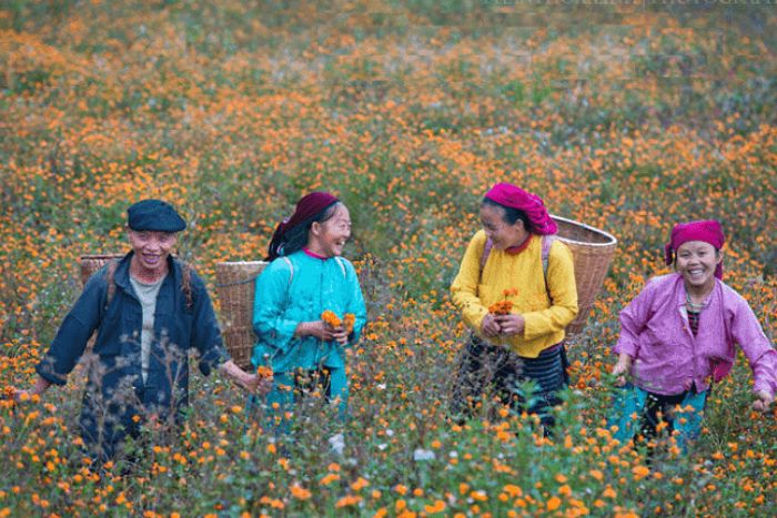 Les ethnies à Du Gia, Yen Minh, Ha Giang