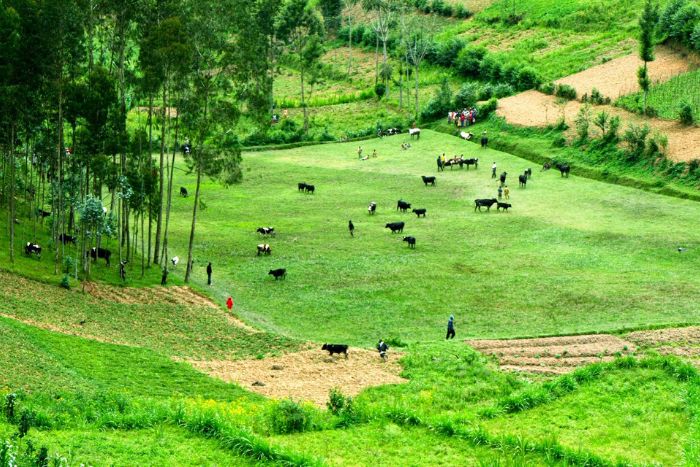 Village ethnique des communes Lao et Chai