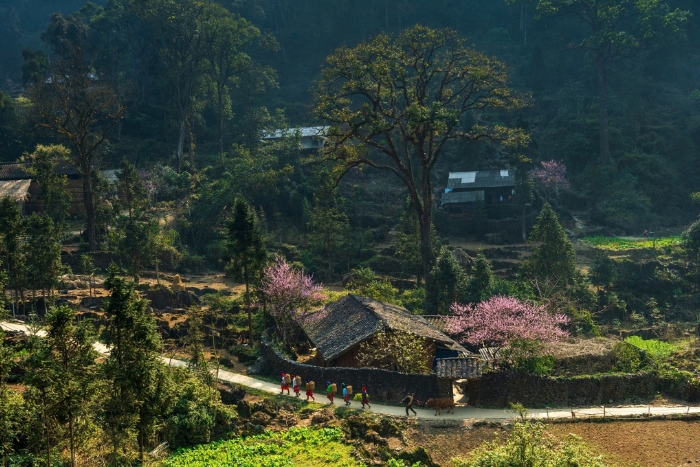 Dong Van Ha Giang dans votre circuit v&eacute;lo Ha Giang loop