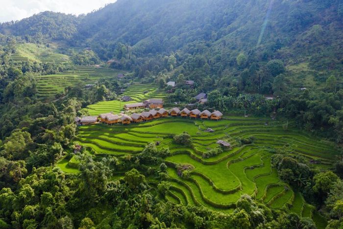 Hoang Su Phi Lodge est situé au milieu de grandes rizières en terrasses